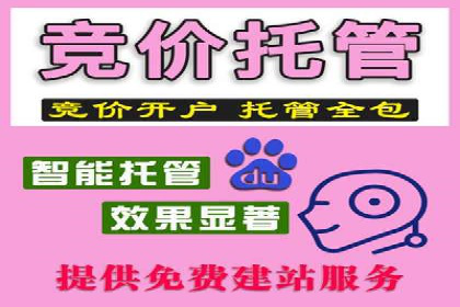 行业领先企业的网络推广开户策略