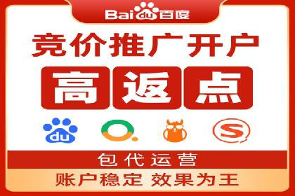 SEM运营公司案例研究：优化广告投放策略